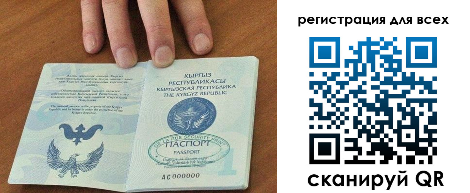 прописка для школы в Мурманской области