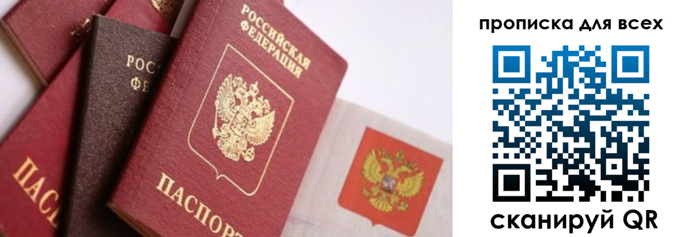 временная регистрация поиск в Мурманской области
